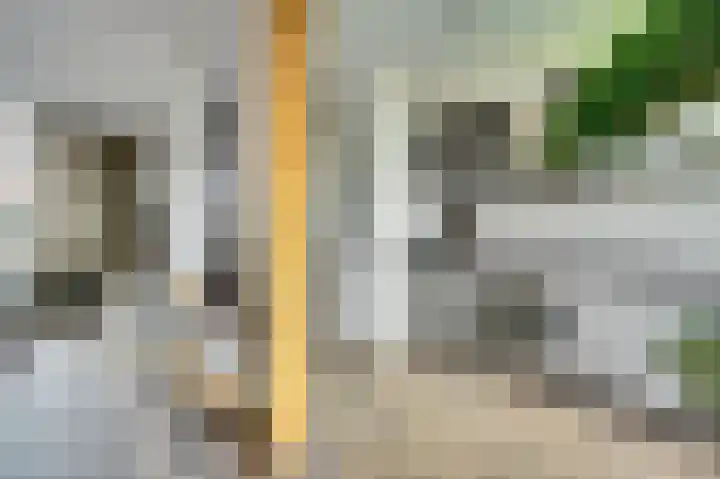 Witte de Withstraat 18 De Lier thumbnail 17