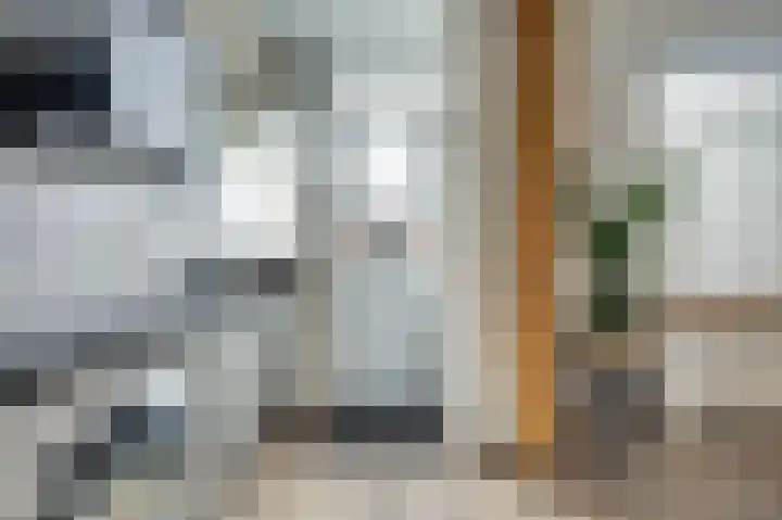 Witte de Withstraat 18 De Lier thumbnail 18
