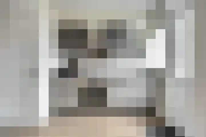 Witte de Withstraat 18 De Lier thumbnail 19