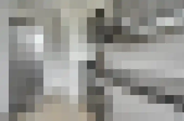 Witte de Withstraat 18 De Lier thumbnail 20