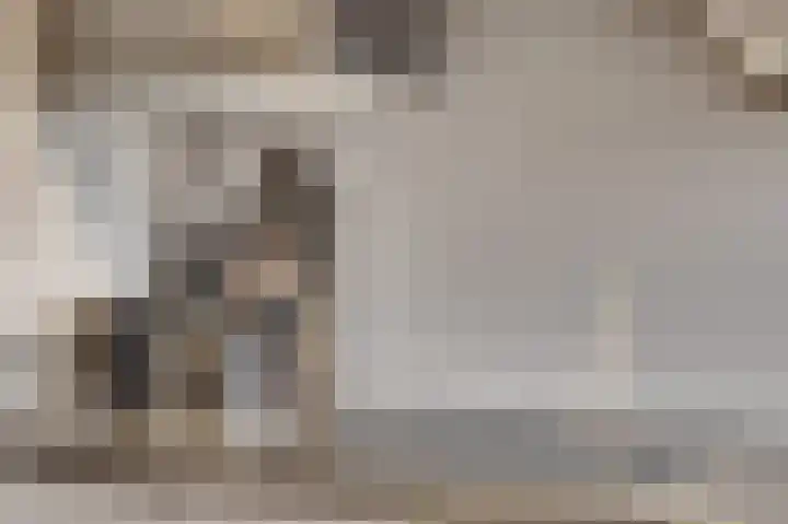 Witte de Withstraat 18 De Lier thumbnail 21