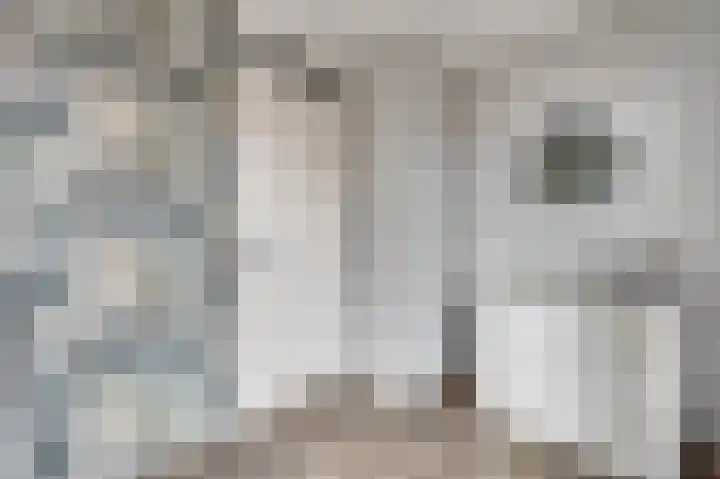 Witte de Withstraat 18 De Lier thumbnail 23