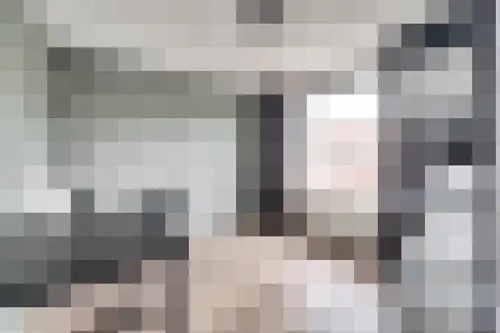 Witte de Withstraat 18 De Lier thumbnail 25