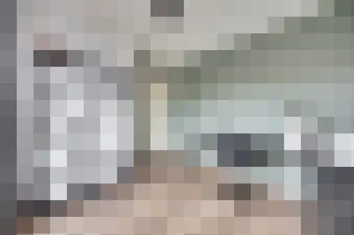 Witte de Withstraat 18 De Lier thumbnail 26