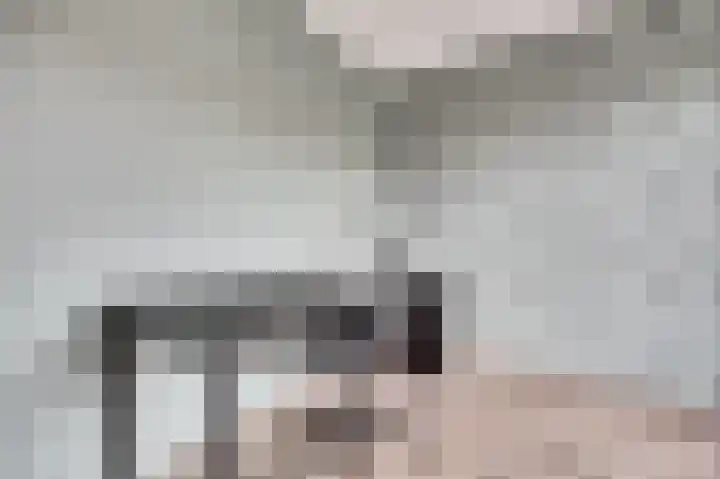 Witte de Withstraat 18 De Lier thumbnail 27