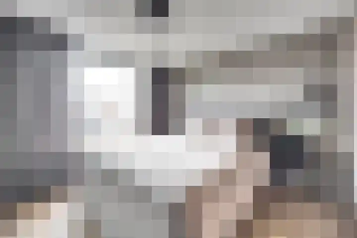 Witte de Withstraat 18 De Lier thumbnail 28