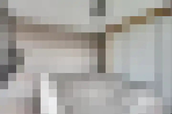Witte de Withstraat 18 De Lier thumbnail 30