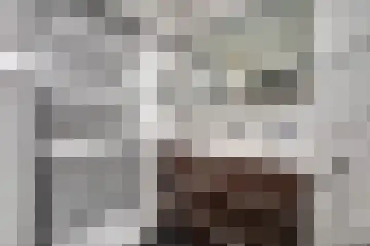 Witte de Withstraat 18 De Lier thumbnail 31