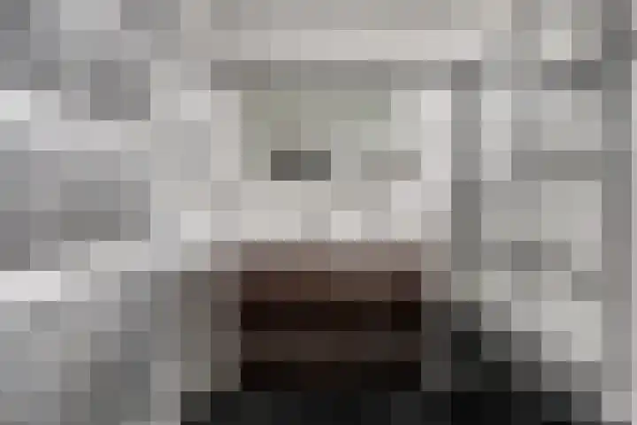 Witte de Withstraat 18 De Lier thumbnail 32