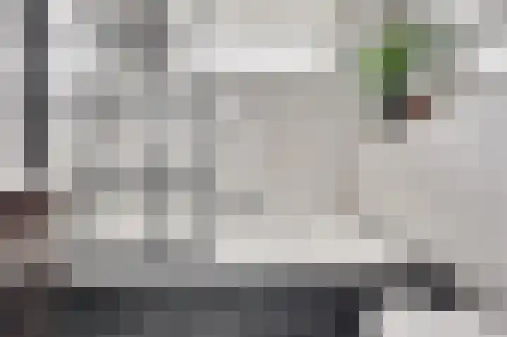 Witte de Withstraat 18 De Lier thumbnail 33