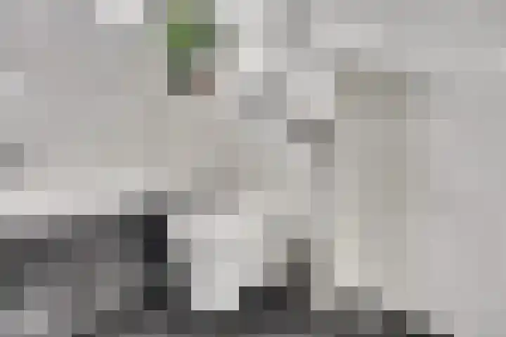 Witte de Withstraat 18 De Lier thumbnail 34