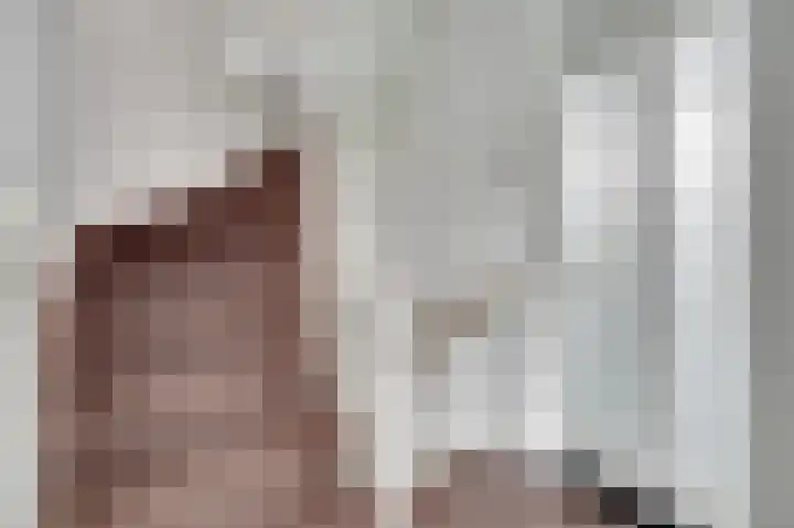 Witte de Withstraat 18 De Lier thumbnail 35