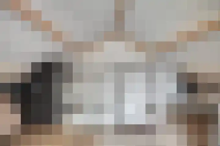 Witte de Withstraat 18 De Lier thumbnail 36