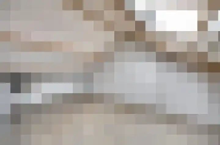 Witte de Withstraat 18 De Lier thumbnail 37