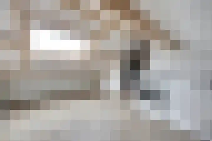 Witte de Withstraat 18 De Lier thumbnail 38