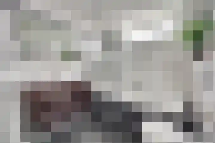 Witte de Withstraat 18 De Lier thumbnail 5