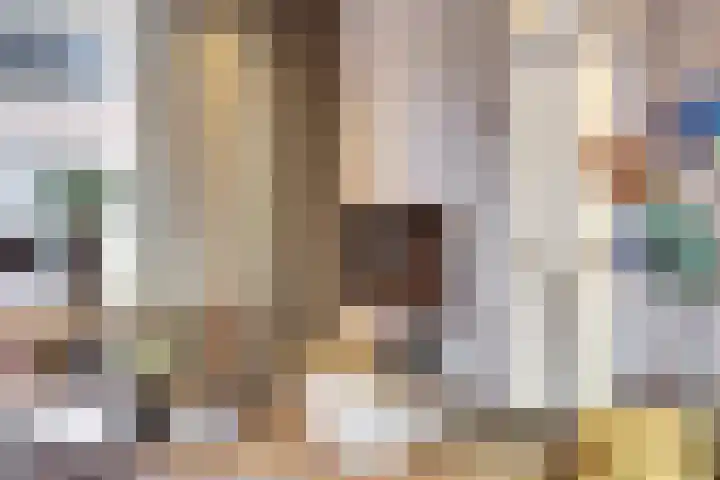 Witte de Withstraat 18 De Lier thumbnail 8