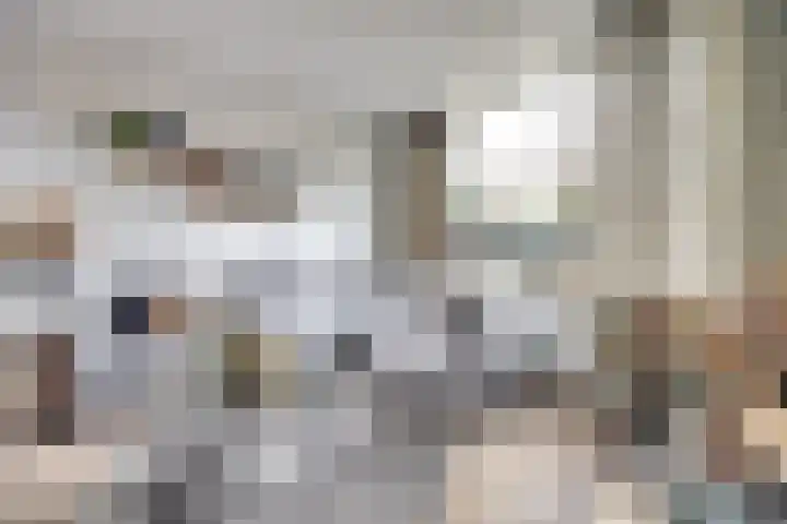 Witte de Withstraat 18 De Lier thumbnail 9