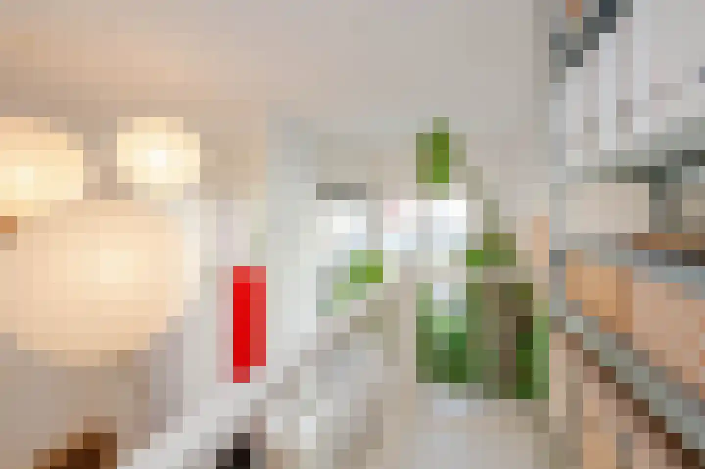 Witte de Withstraat 186 Den Haag thumbnail 17