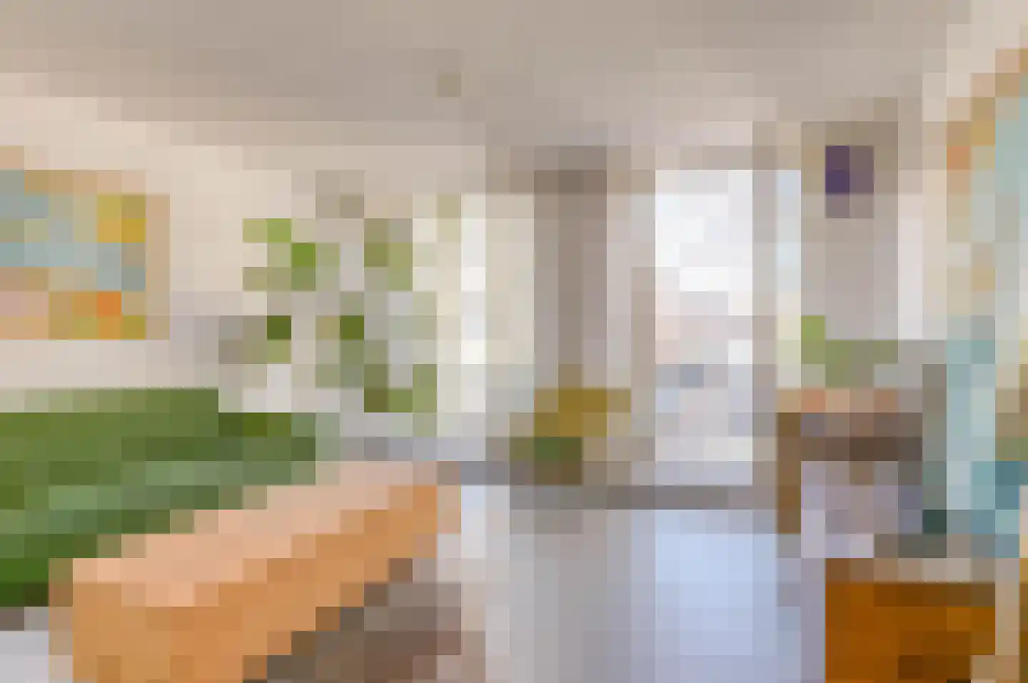 Witte de Withstraat 186 Den Haag thumbnail 21