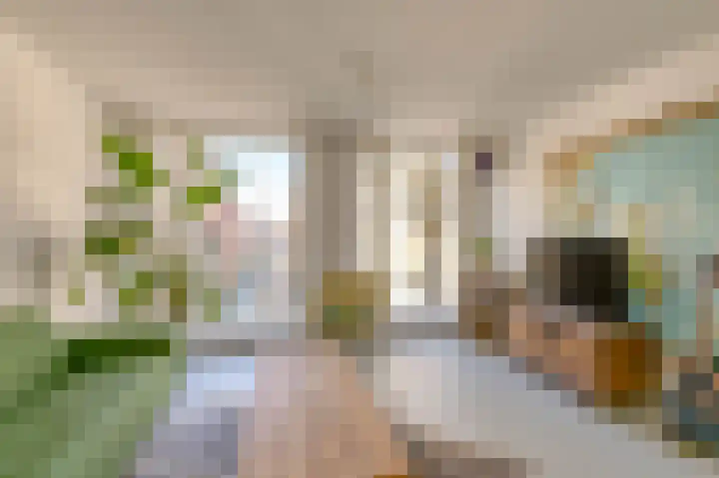 Witte de Withstraat 186 Den Haag thumbnail 22