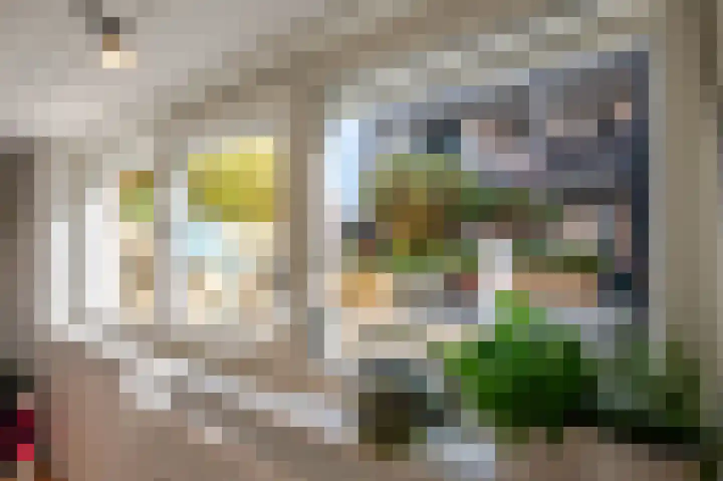 Witte de Withstraat 186 Den Haag thumbnail 30