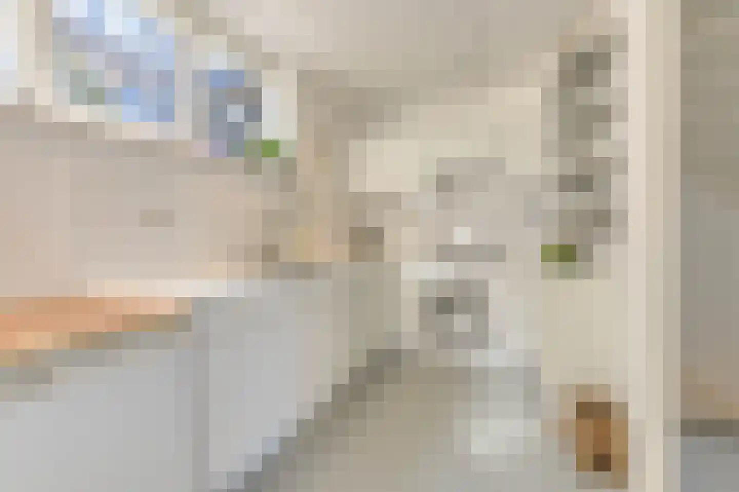 Witte de Withstraat 186 Den Haag thumbnail 31