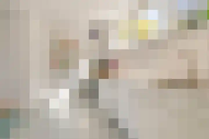 Witte de Withstraat 186 Den Haag thumbnail 32