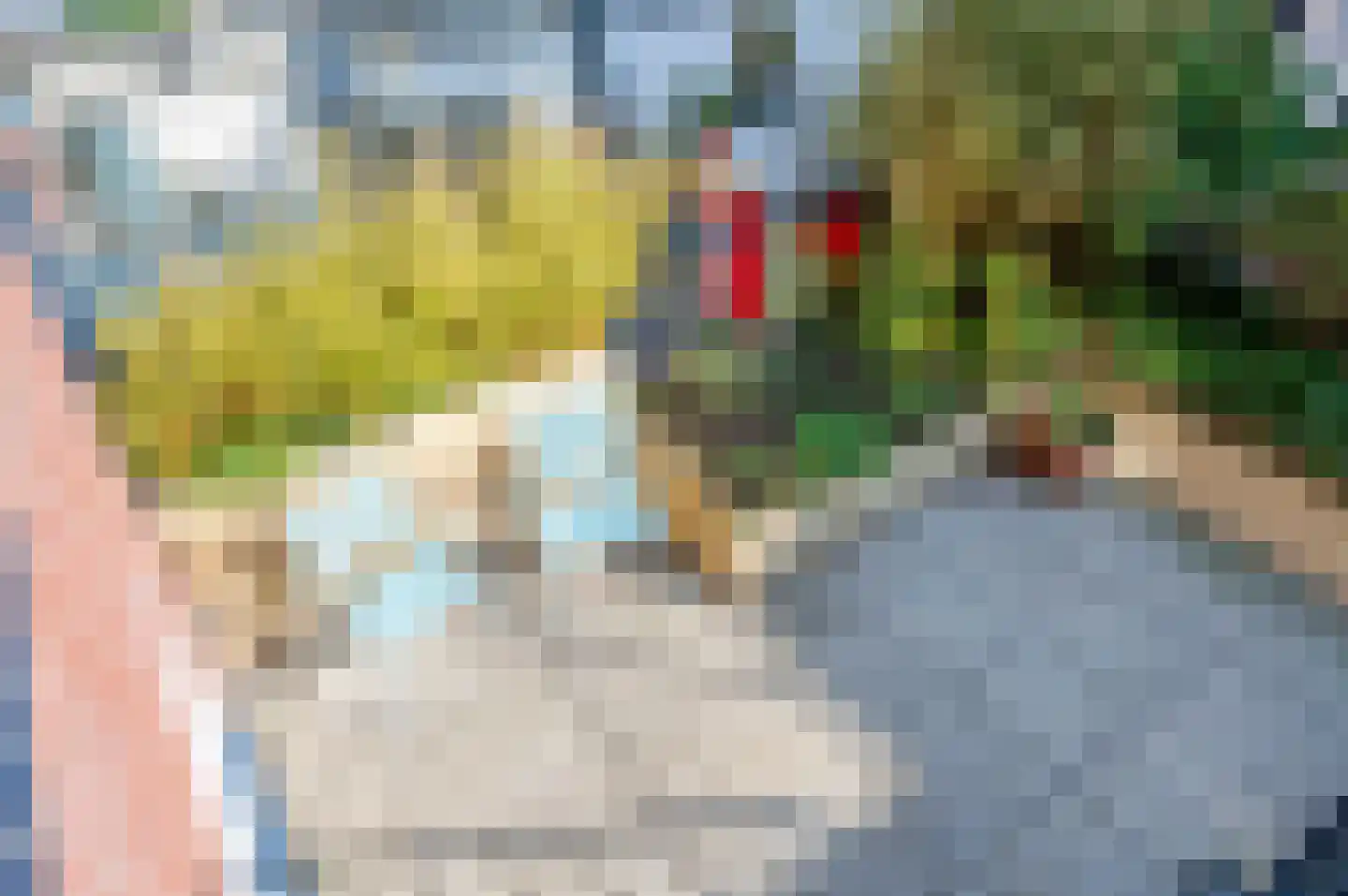 Witte de Withstraat 186 Den Haag thumbnail 4