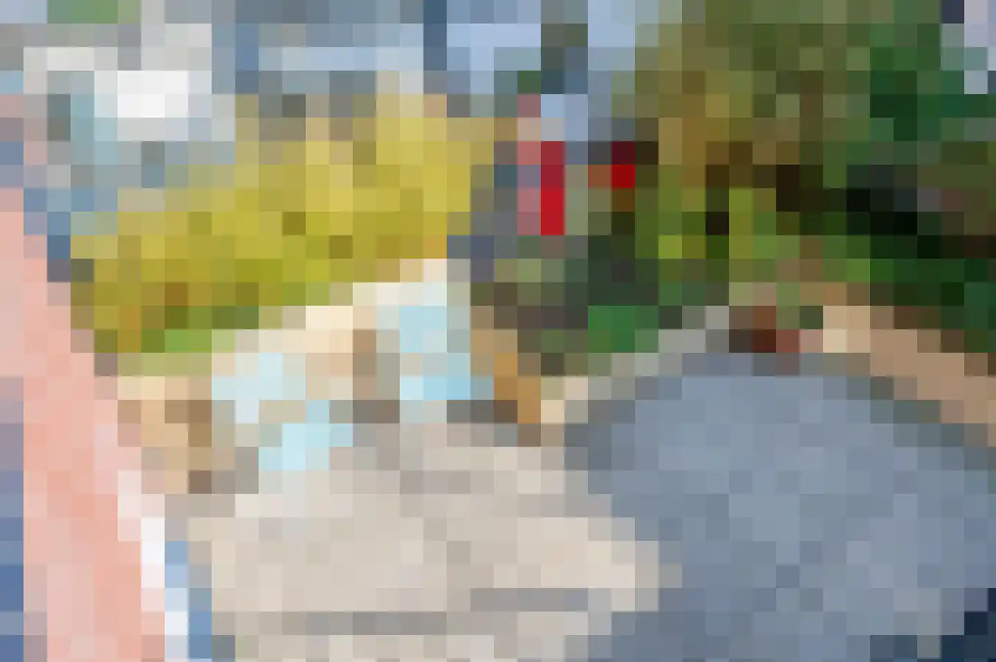 Witte de Withstraat 186 Den Haag thumbnail 41