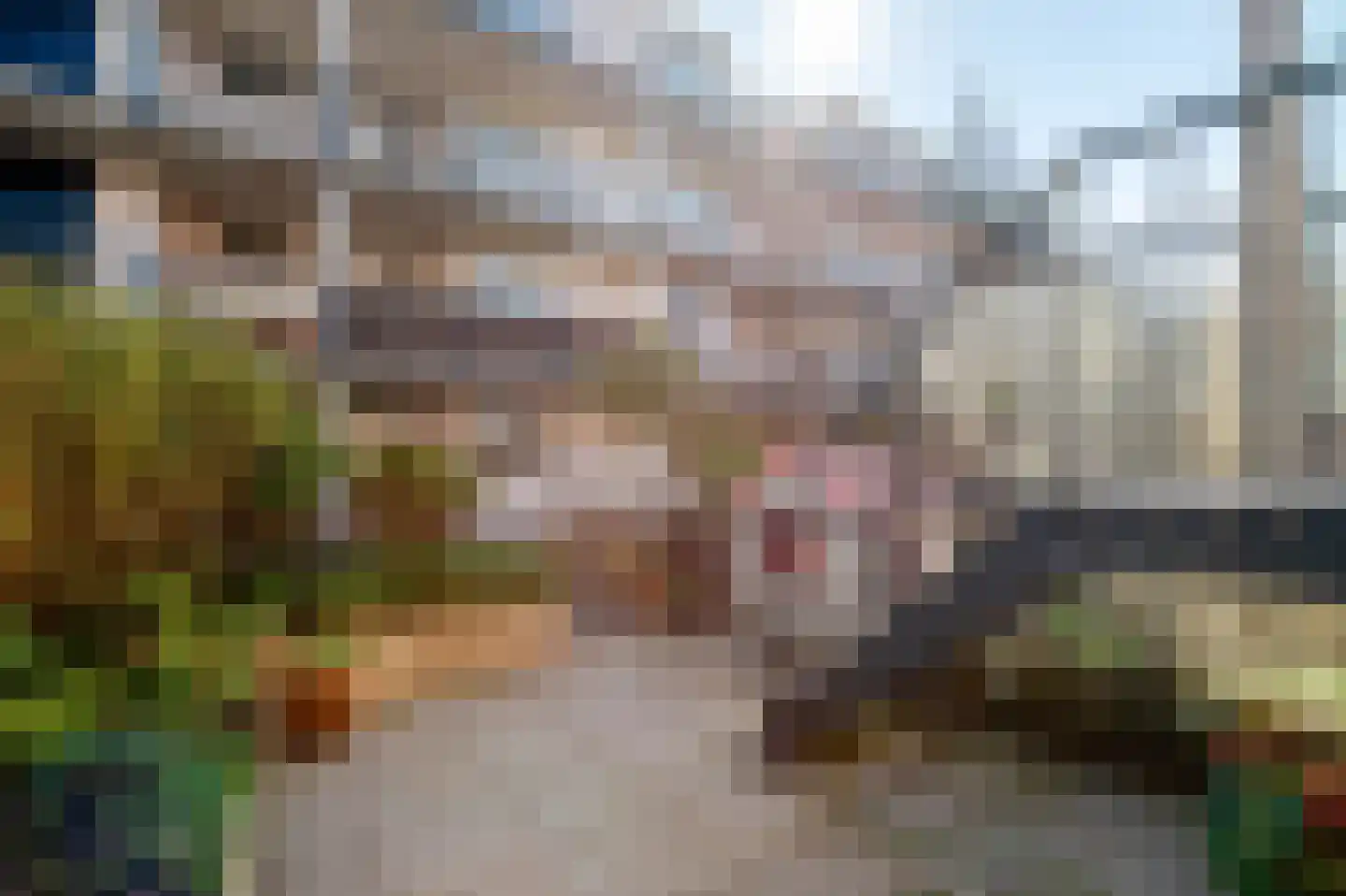 Witte de Withstraat 186 Den Haag thumbnail 42