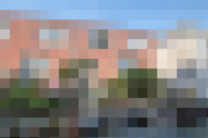 Witte de Withstraat 186 Den Haag thumbnail 44