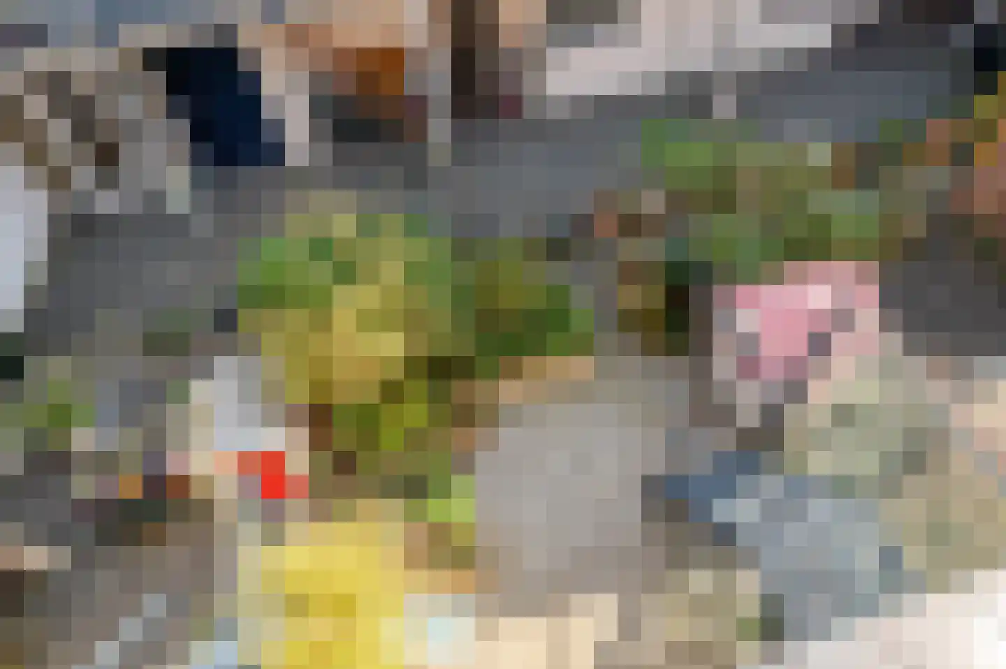 Witte de Withstraat 186 Den Haag thumbnail 57