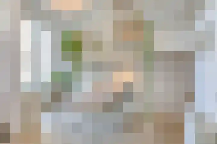 Witte de Withstraat 186 Den Haag thumbnail 8