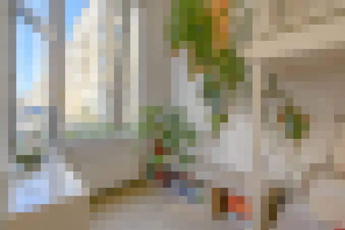 Witte de Withstraat 186 Den Haag thumbnail 9