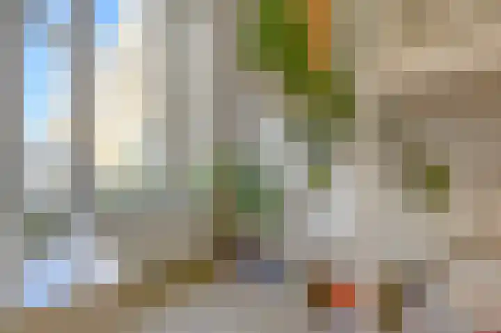 Witte de Withstraat 186 Den Haag thumbnail 9