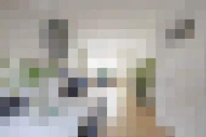 Witte de Withstraat 19 Groningen thumbnail 16
