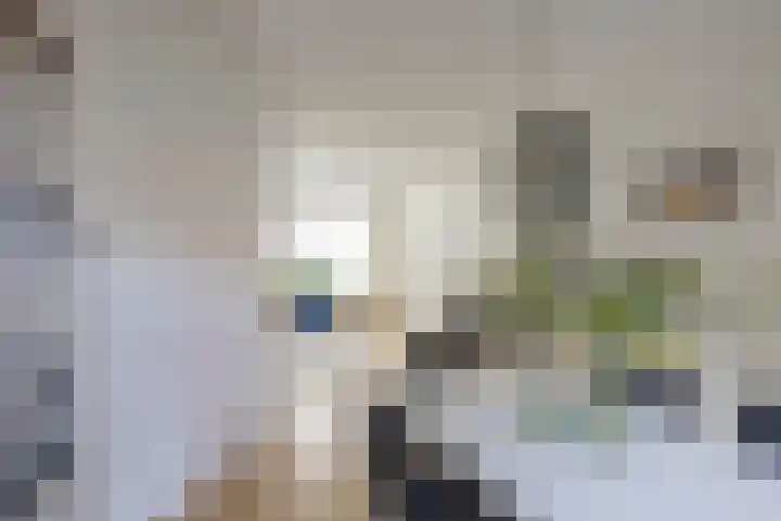 Witte de Withstraat 19 Groningen thumbnail 17