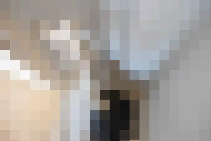 Witte de Withstraat 19 Groningen thumbnail 30