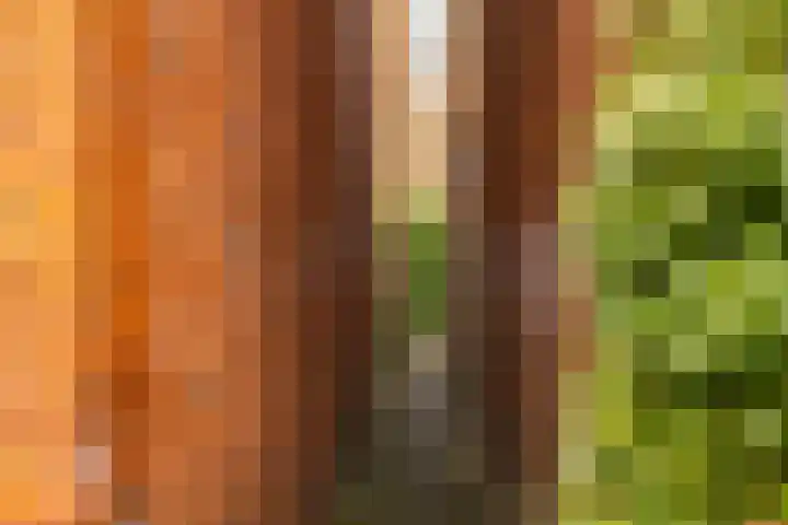 Witte de Withstraat 19 Groningen thumbnail 40