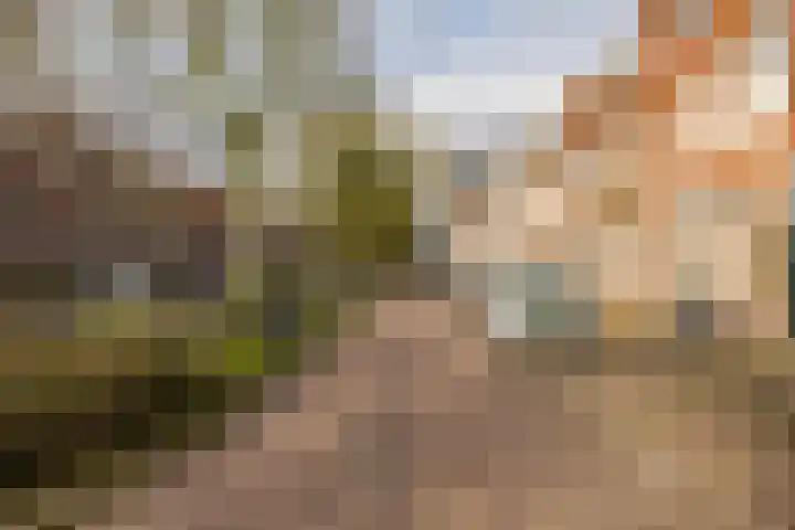 Witte de Withstraat 19 Groningen thumbnail 6