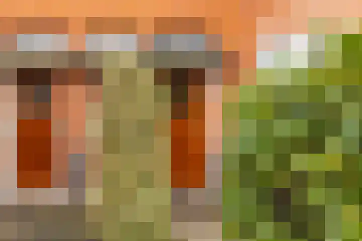 Witte de Withstraat 19 Groningen thumbnail 8