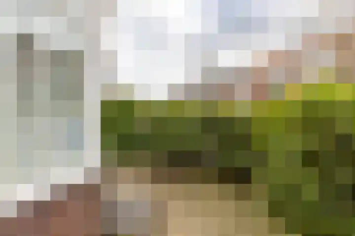 Witte de Withstraat 19 Groningen thumbnail 9