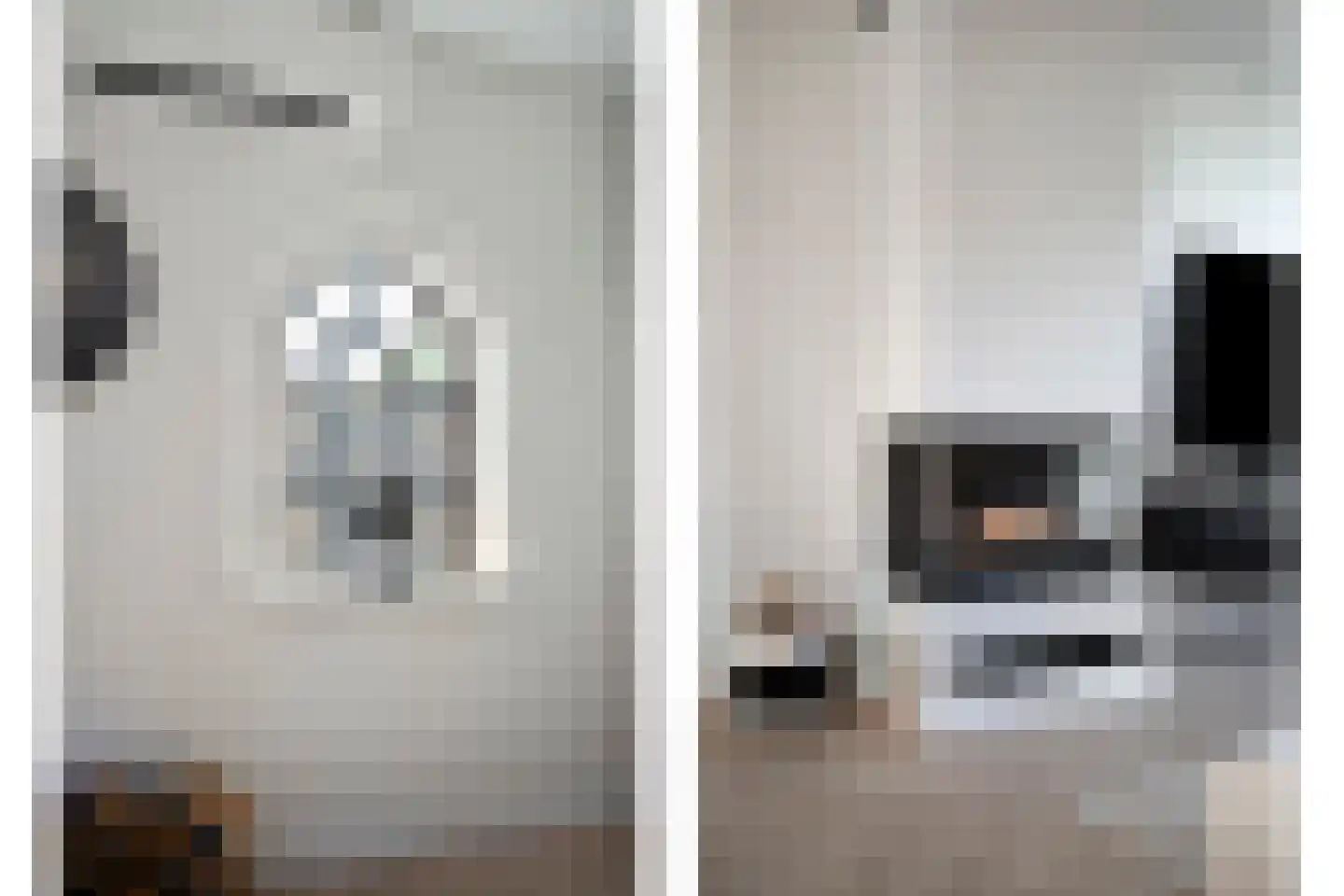 Witte de Withstraat 2 De Lier thumbnail 11