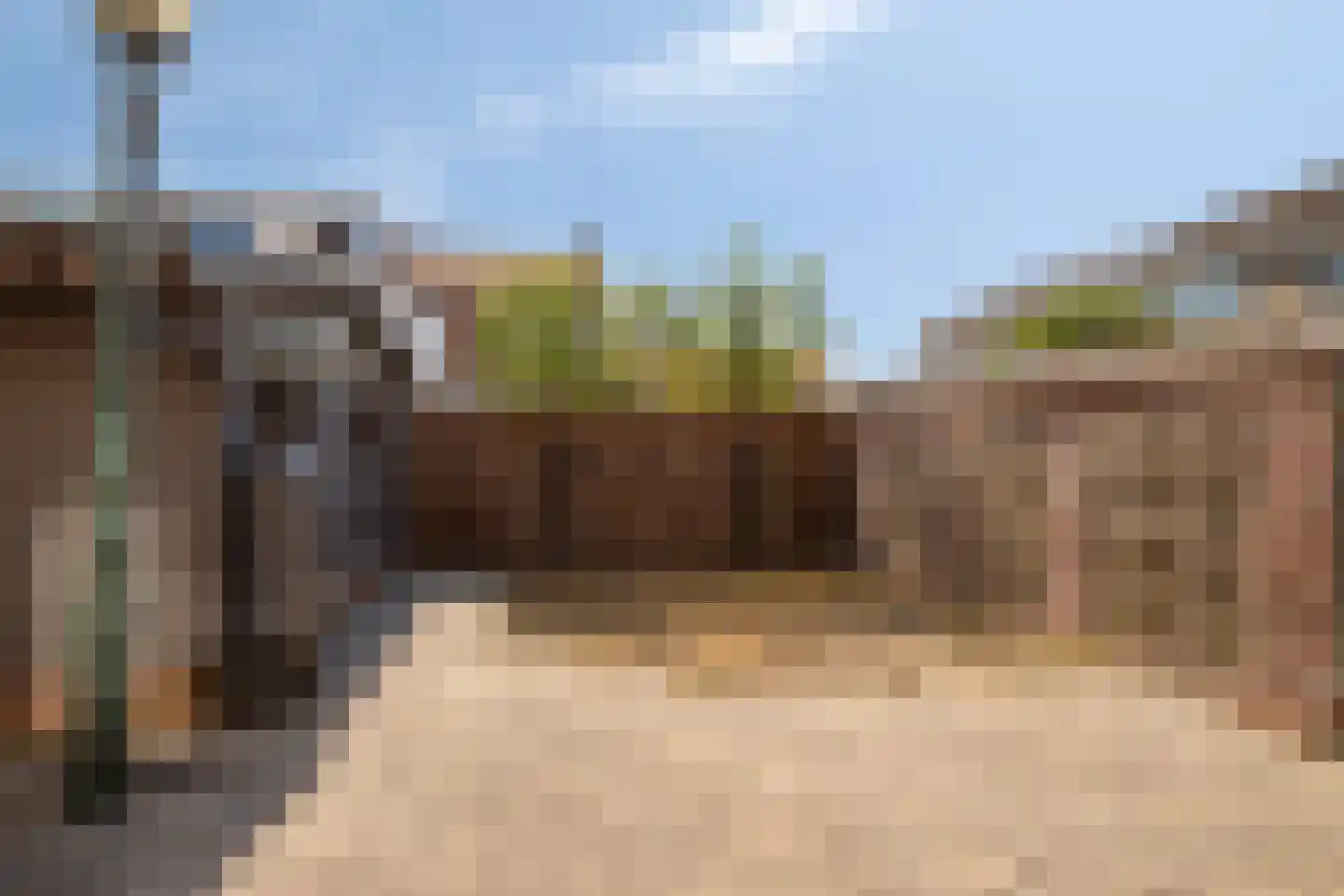 Witte de Withstraat 2 De Lier thumbnail 13