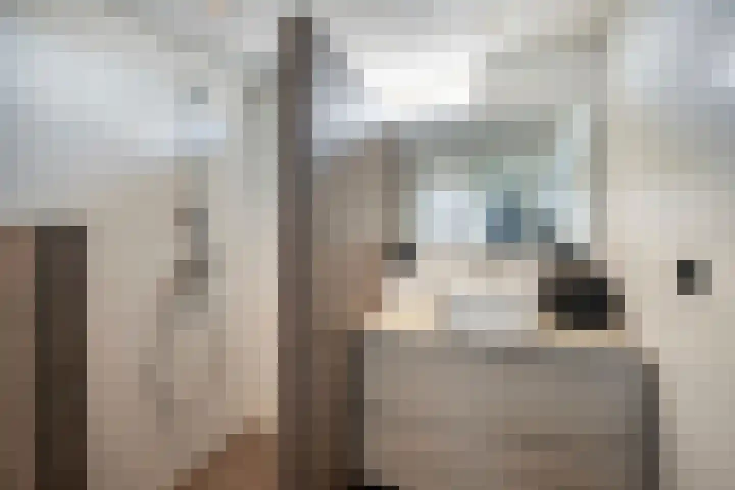 Witte de Withstraat 2 De Lier thumbnail 16