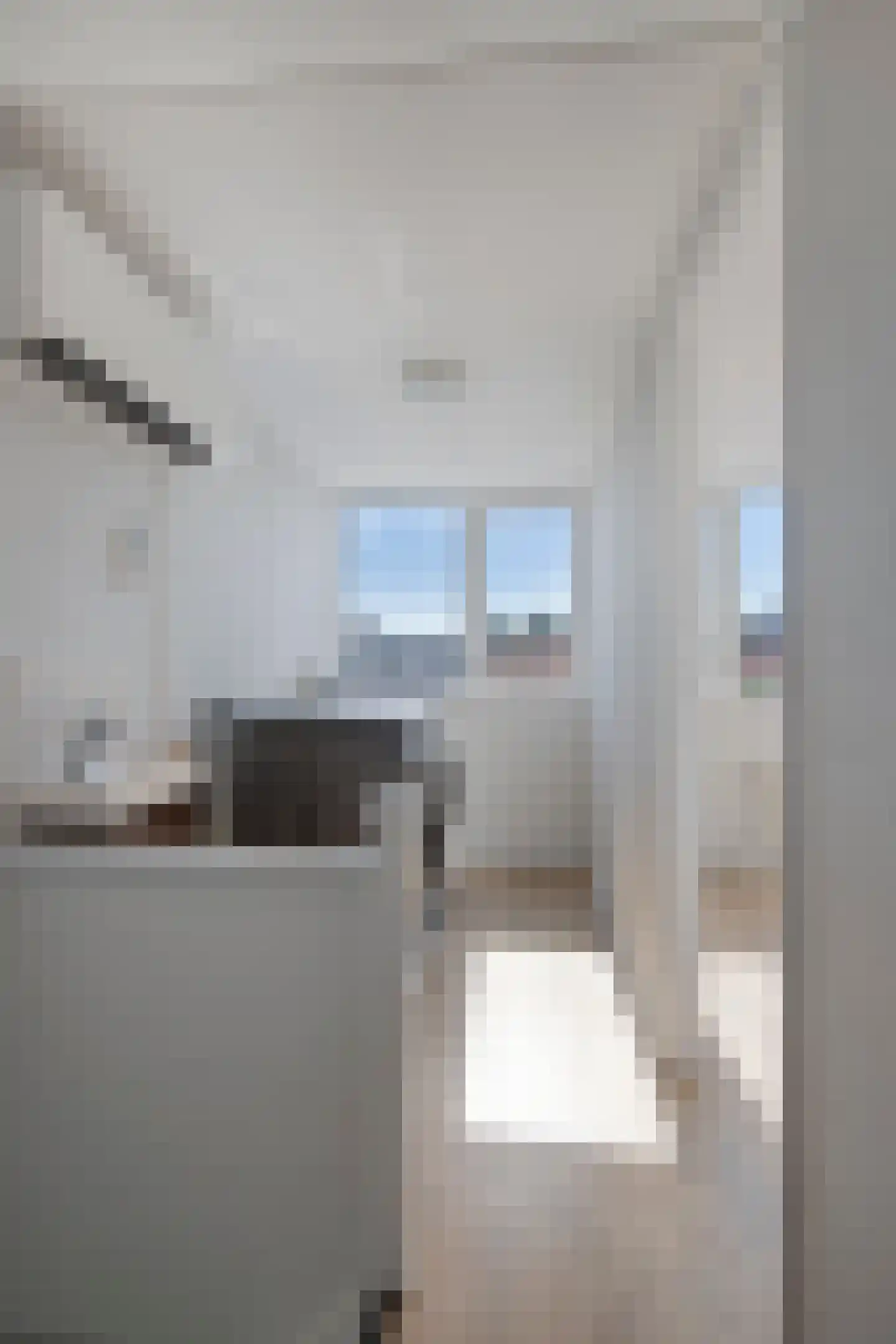 Witte de Withstraat 2 De Lier thumbnail 23