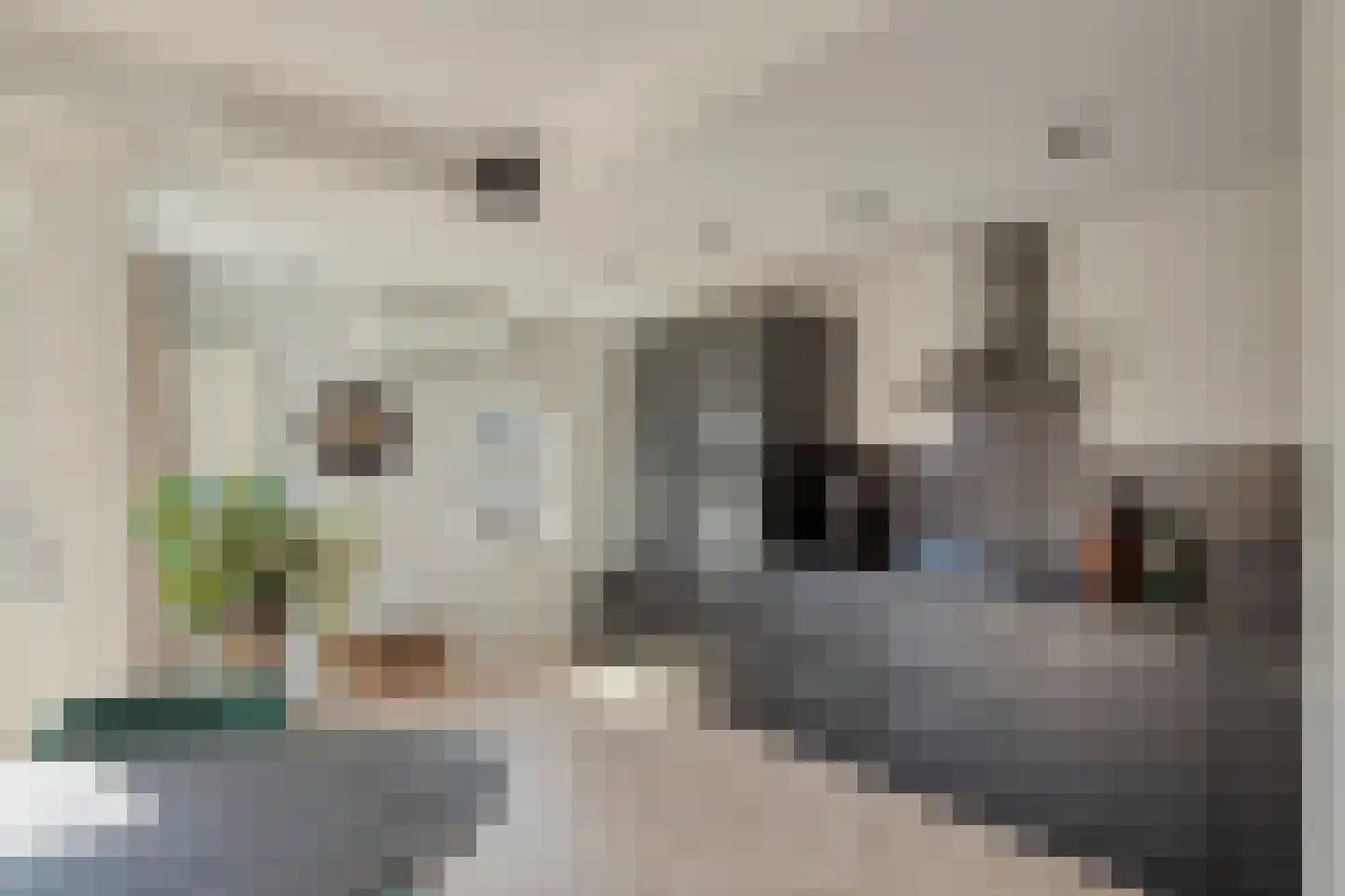 Witte de Withstraat 2 De Lier thumbnail 8