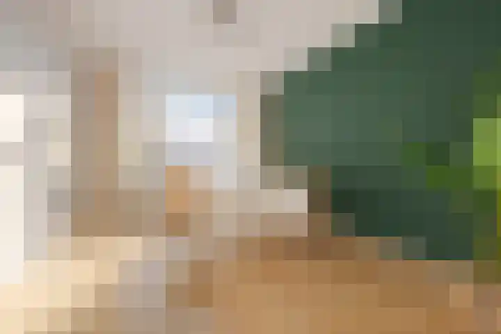 Witte de Withstraat 20 a Groningen thumbnail 10