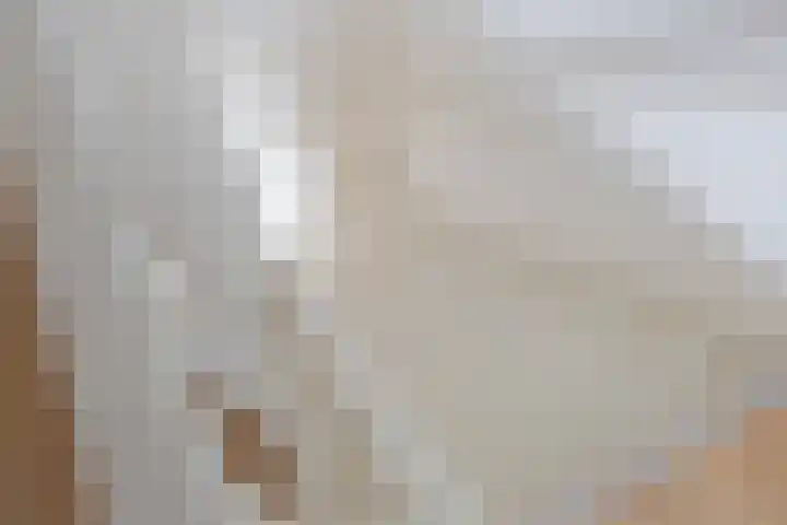 Witte de Withstraat 20 a Groningen thumbnail 19